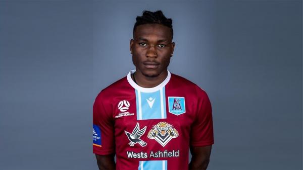 Hassan Jalloh