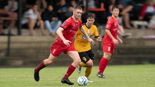 Redlands United Sunshine Coast Wanderers