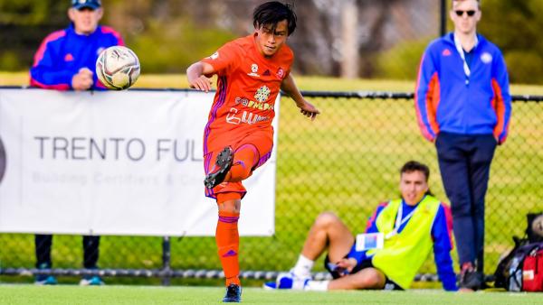 Sturt Lions