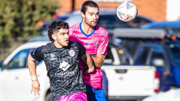 NPL Tasmania