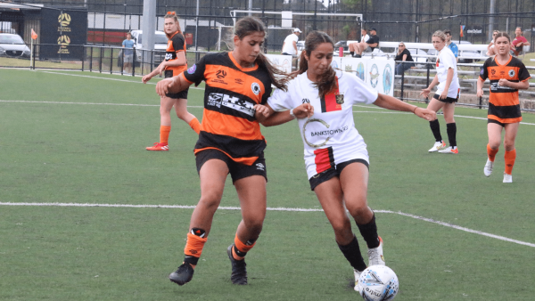 Blacktown Spartans Football Club round 2 wnplnsw