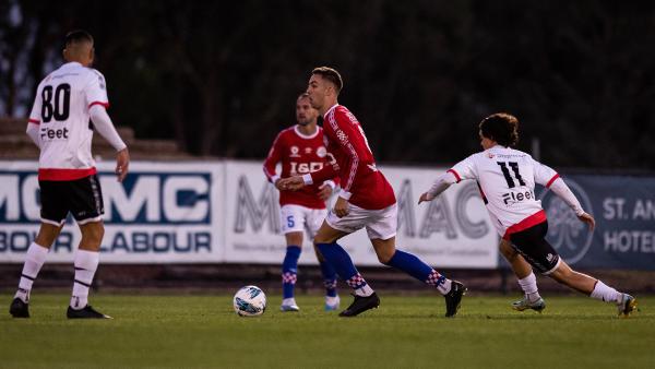 Melbourne Knights