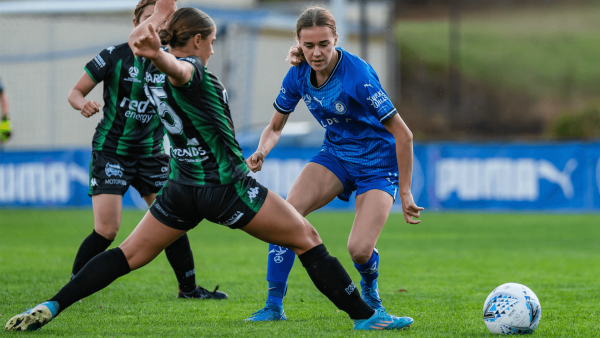 wnpl vic round 1 box hill