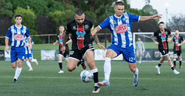 football nsw round 8 preview