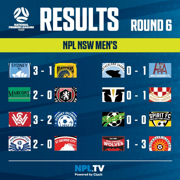 npl nsw round 6 men