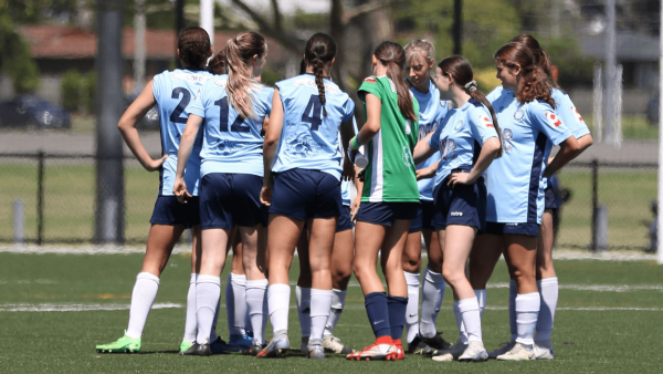npl-capital-season-preview