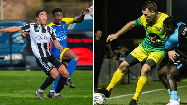 npl preview wrap 16/03