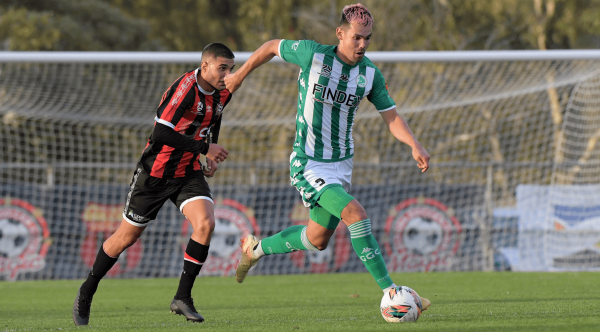 npl men round 6 preview