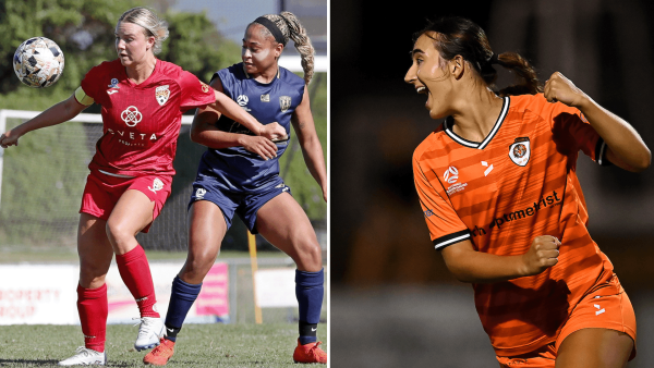 npl womens nnsw and qld