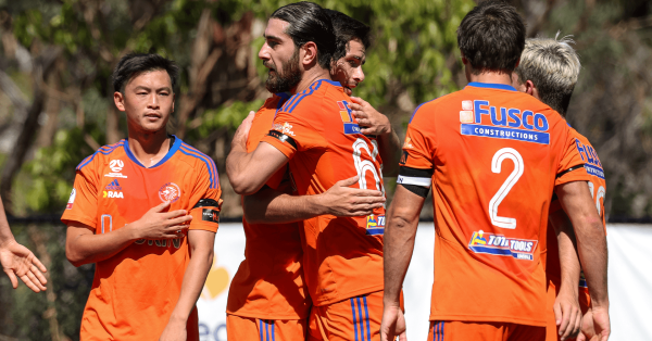 sturt lions round 3 nplsa