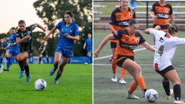 npl womens wrap 20-03