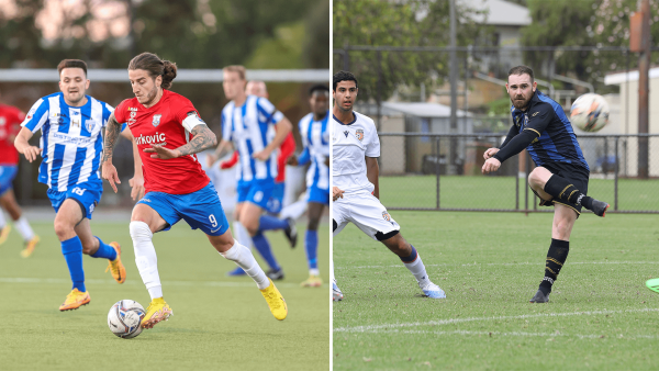 npl-preview-wrap-7-04