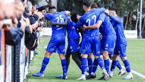 npl-vic-round-7-results-avondale
