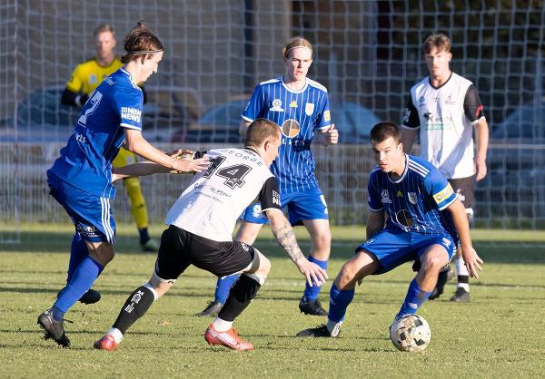 Maitland Magpies v Newcastle Olympic NPL NNSW Men