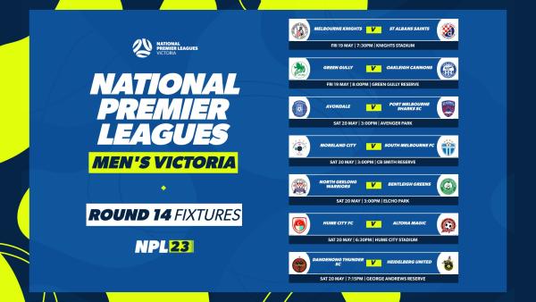 round 14 NPL vic men