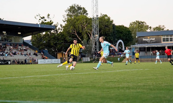 NPL QLD
