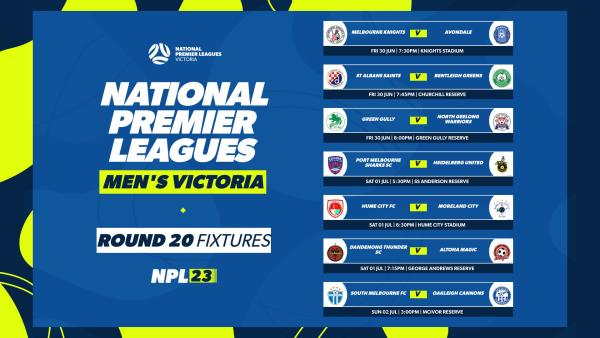NPLVIc