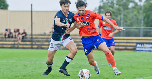 nplqqld-men-round-17