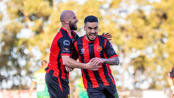 NPLNSW
