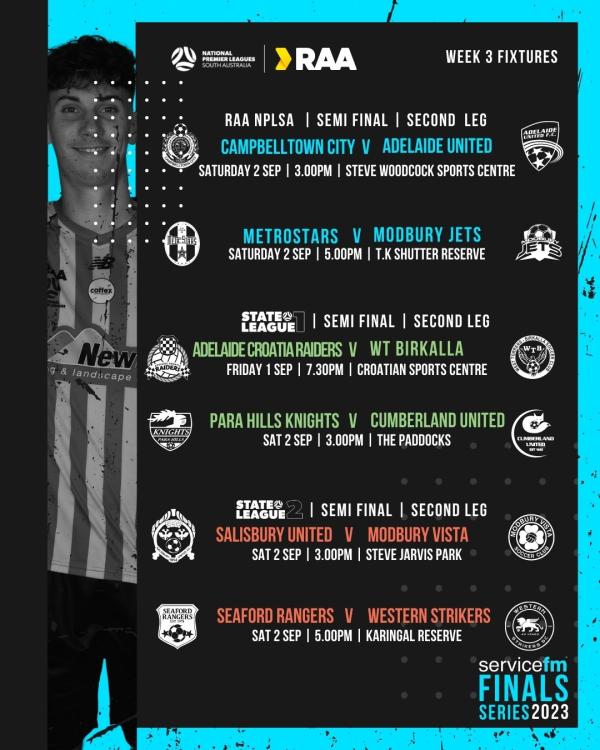 nplsa men finals series