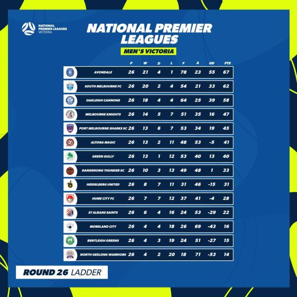 npl men vic final ladder