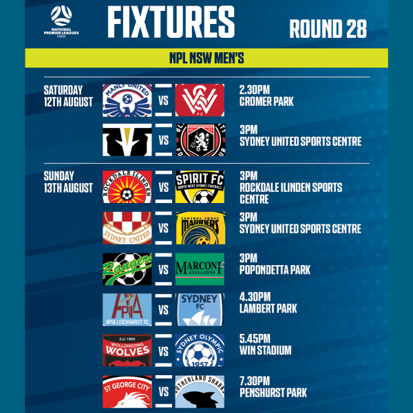 npl nsw round 28 men