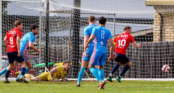 NPL TAS Men's Grand Final Preview