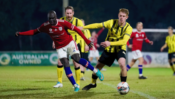 NPL QLD Men's Grand Final Preview