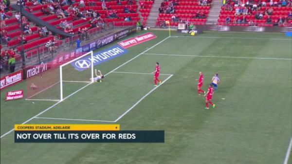 NPL VIC Semi Final - Avondale FC vs Oakleigh Cannons Highlights