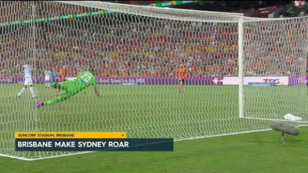 NPLW NSW Round 2 - Northern Tigers vs Sydney University Highlights