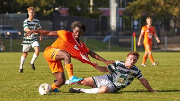 Pride could only hang on for the ride against a rampant Young Roar.