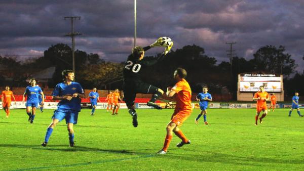 FNQ Heat were amongst the weekend’s winners in Queensland
