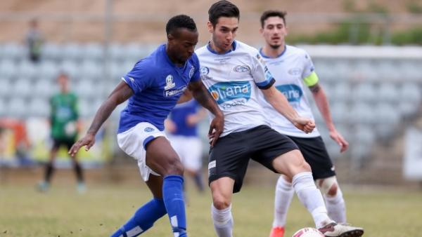 PS4 NPL SA Round 20 Review