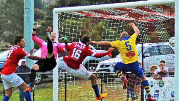 NPL Victoria Round 8 Review