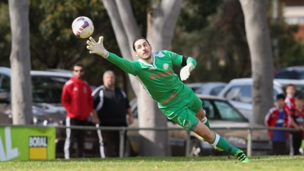 PS4 NPL SA Preliminary Final Review