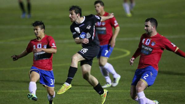 Wollongong Wolves' star striker Patrick Antelmi.
